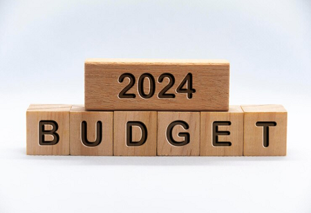 Union Budget 2024: What Experts and industrialists have to say