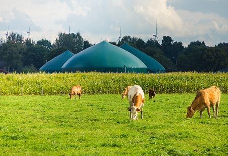 Gujarat now Home to Asia's Largest Biogas Facility