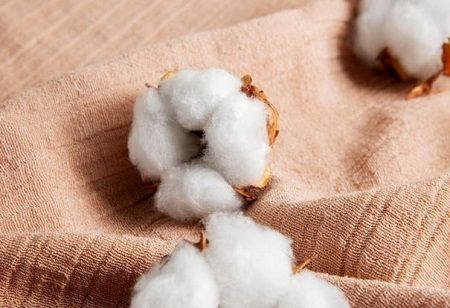 Managing Quality Variability in Cotton Procurement