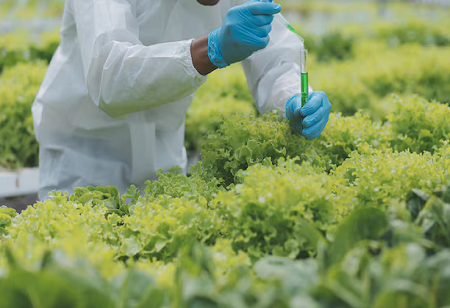 Advancing Agriculture through Innovation in Agrochemicals