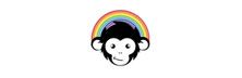 Rainbow Monkey