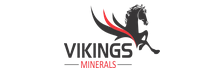 Vikings Mineral