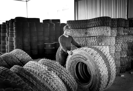  Tyre Makers Look to Bengal for Producing Natural Rubber